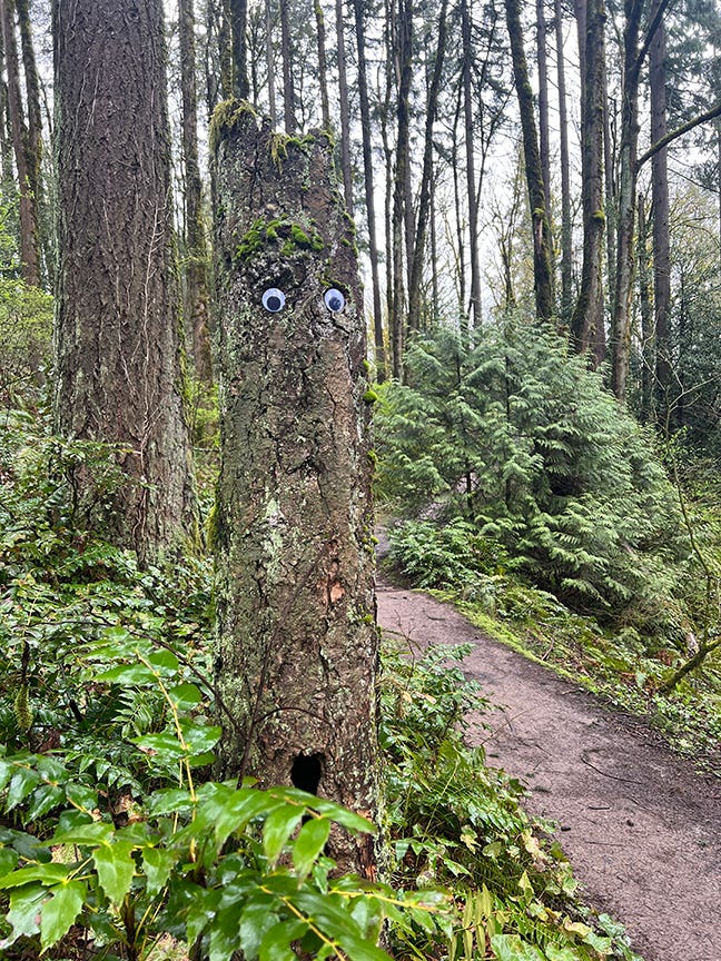 Photo of a stump with eyes