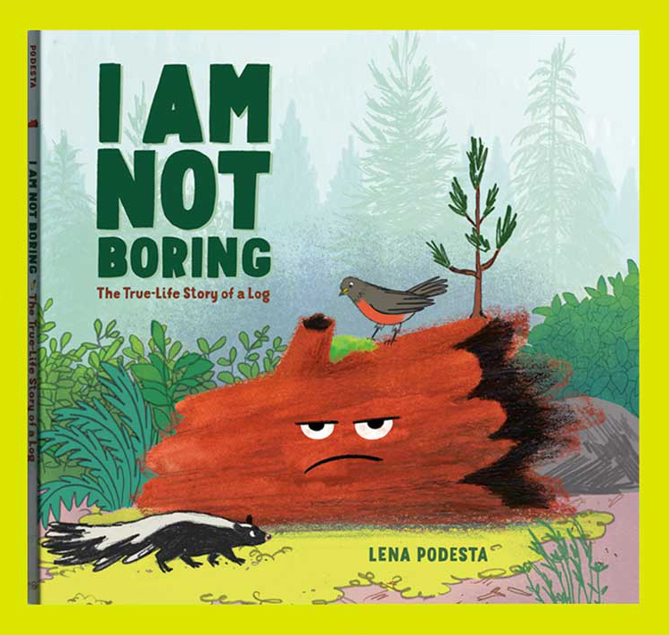 I am Not Boring cover