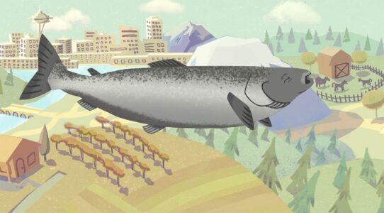 Frame from short Fish flies through sky over farmland