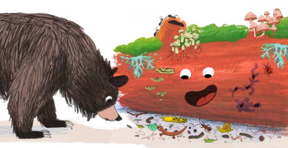 Cartoon bear looking under log